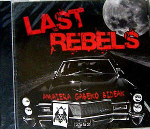 LAST REBELS