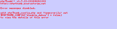 JERSEY DE PICO SIN MANGAS NEGRO CON RAYAS